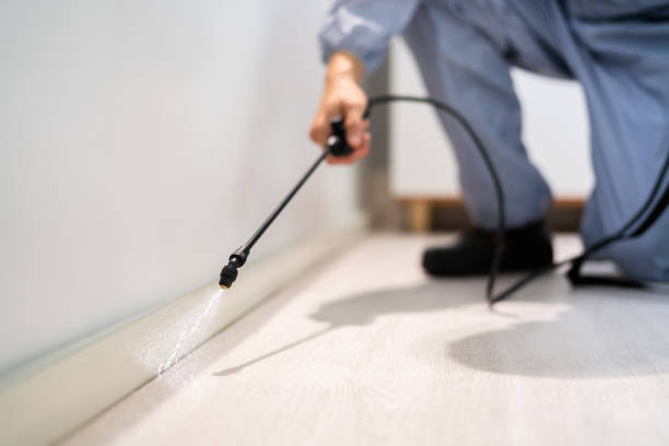 Licensed Fumigation Services service in Hartford, CT - Nex Pest Control