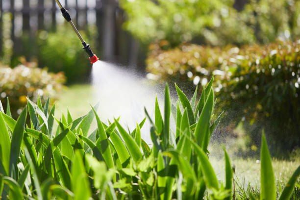 24/7 Emergency Fumigation Services experts in Hartford, CT