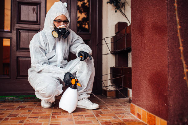 Reliable Fumigation Services contractor in Hartford, CT by Nex Pest Control