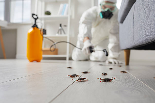 Trusted Emergency Pest Control service in Hartford, CT - Nex Pest Control
