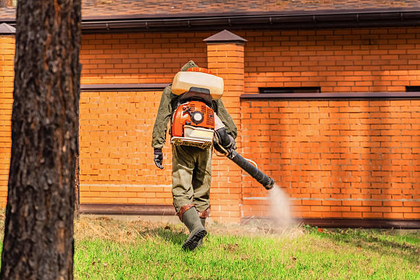 Trusted Fumigation Services service in Hartford, CT - Nex Pest Control